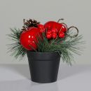 Weihnachts Arrangement 13 cm