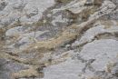 Webteppich Peridot Creme-Grau-Gold 80 x 150 cm